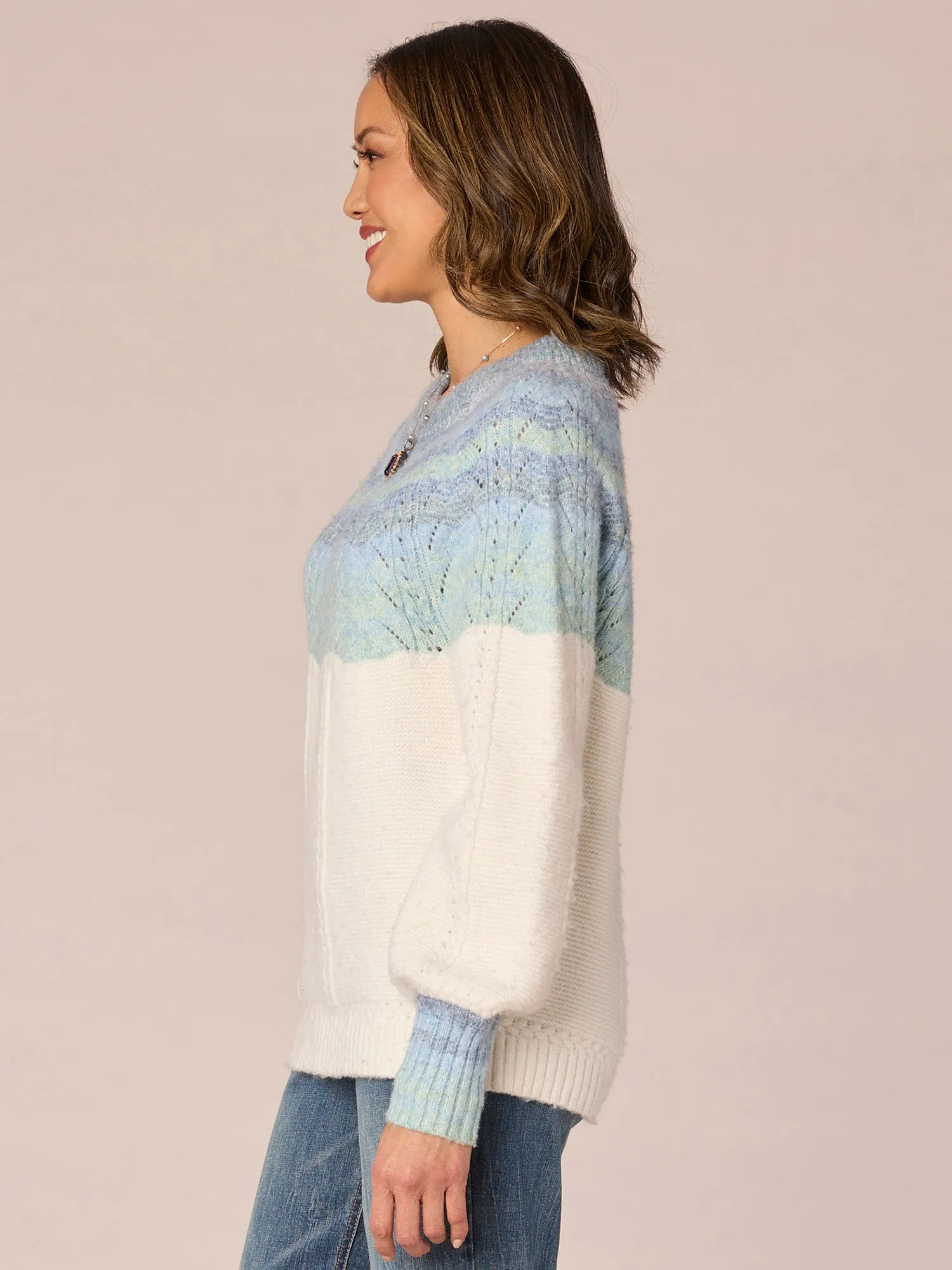 Long Blouson Sleeve High Round Neck Ombre Pointelle Stitch Sweater